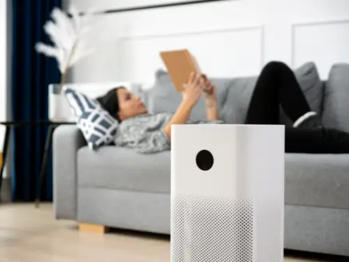 منقي الهواء الافضل لعام 2024