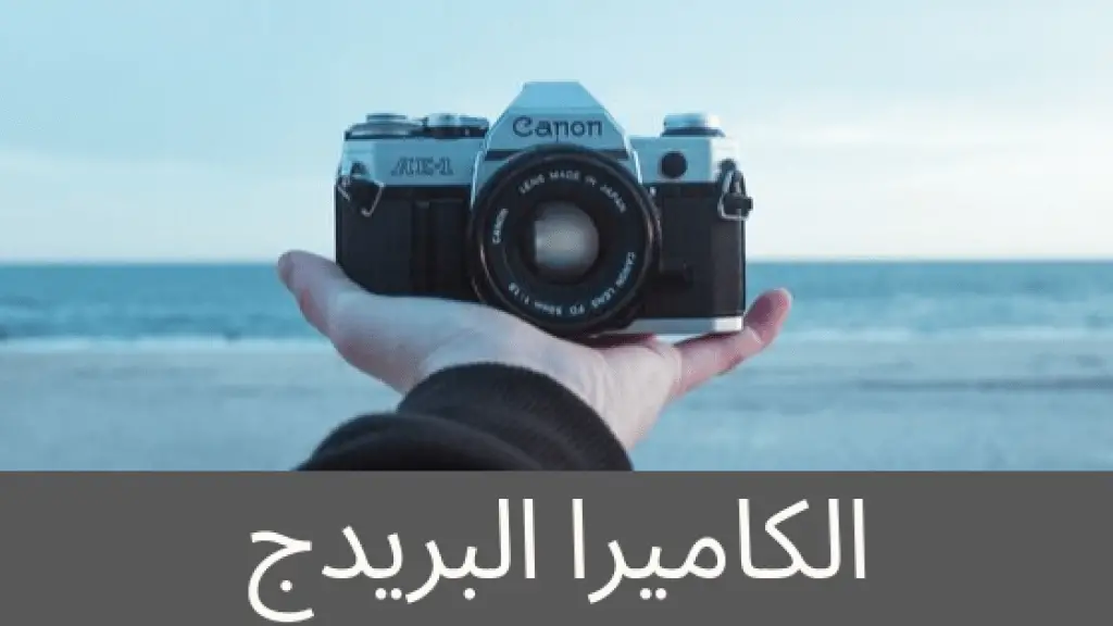 كاميرا بريدج Bridge camera