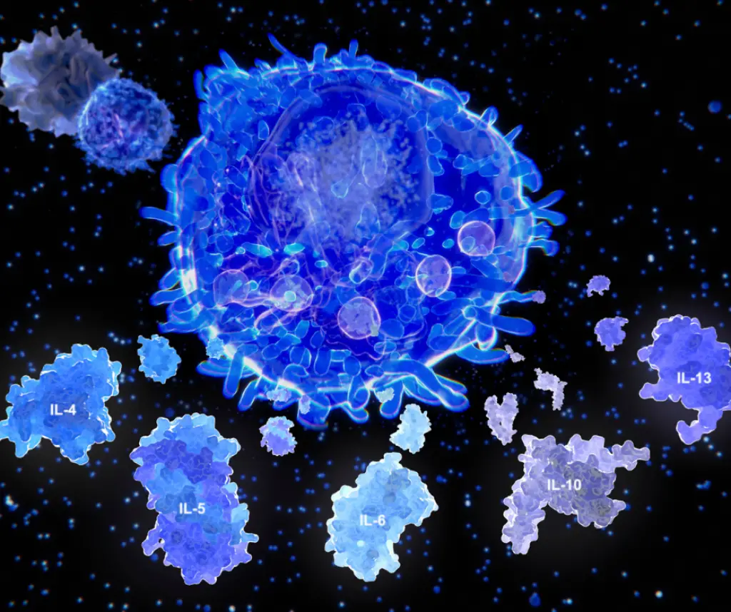 ضعف المناعة