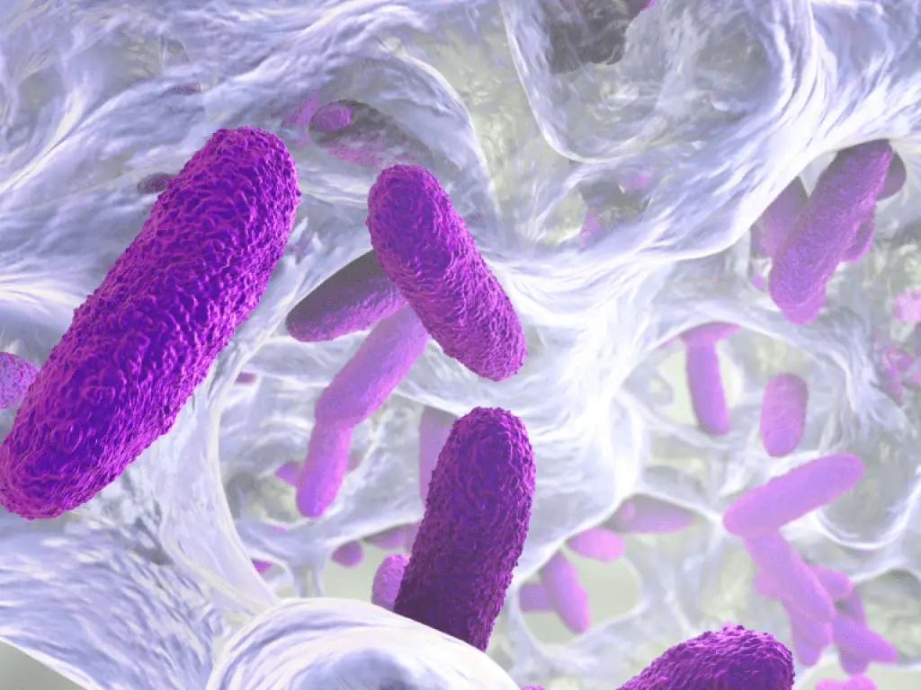 اسباب التهاب المثانة