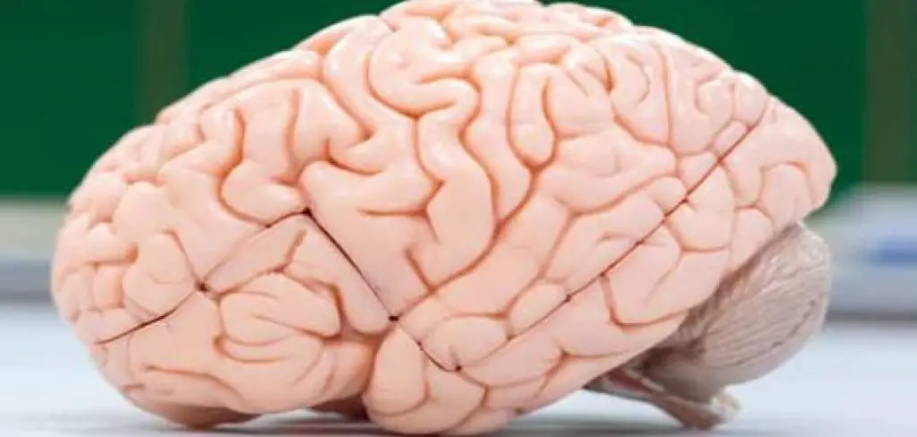 الصرع عند البالغين